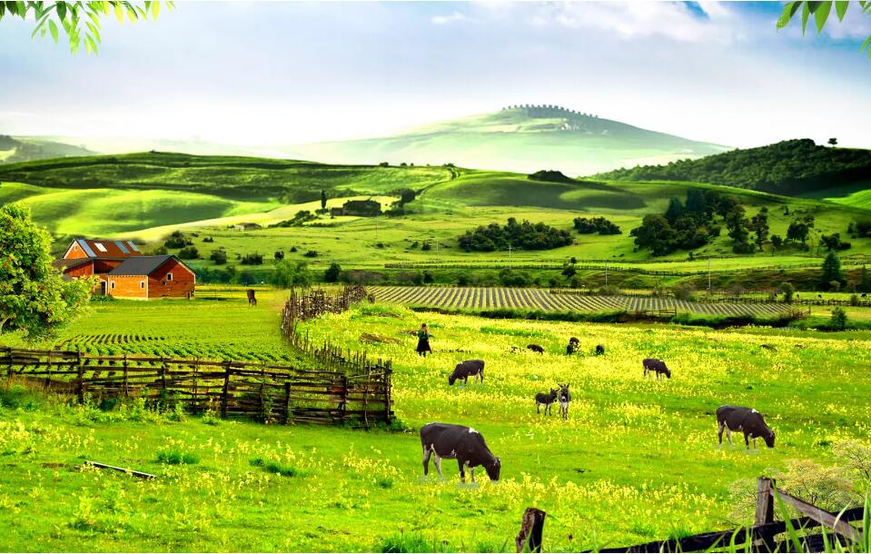 農(nóng)場(chǎng)產(chǎn)品品牌策劃全案