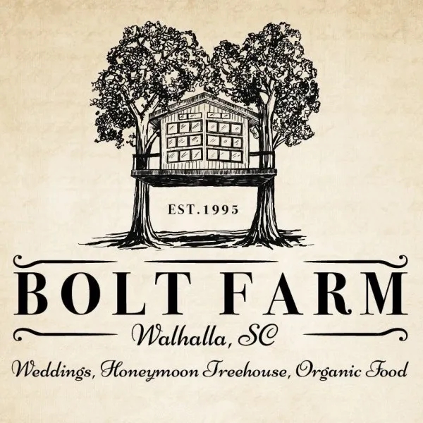 婚紗logo設(shè)計理念