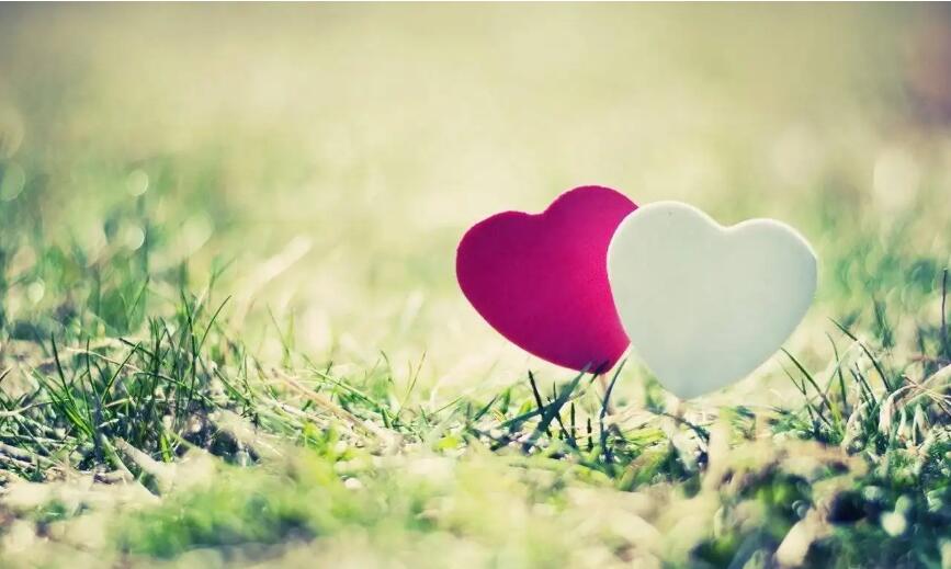 交友網(wǎng)站logo設(shè)計理念