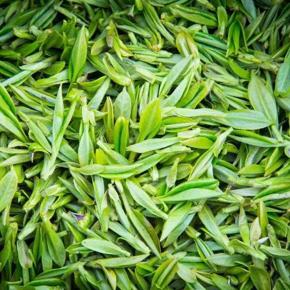 茶葉LOGO設(shè)計標識的設(shè)計理念有哪些？